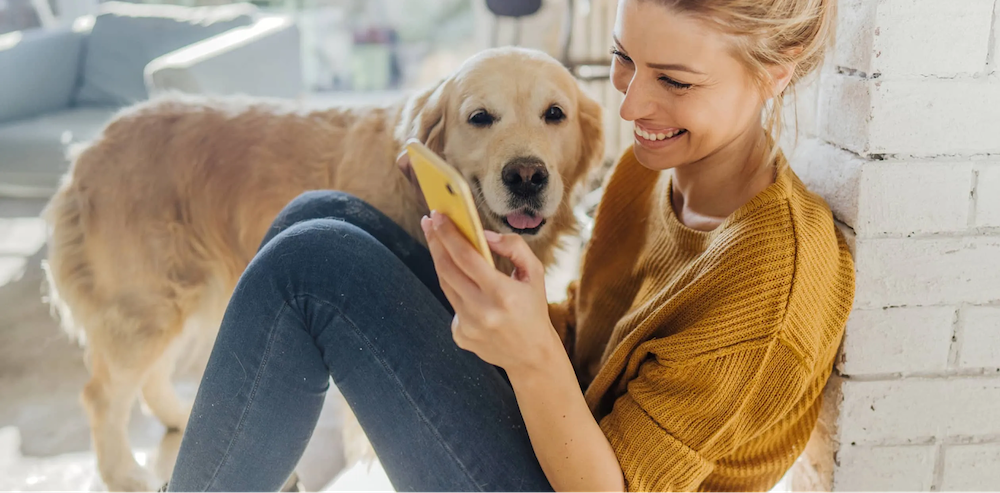 phone_dog